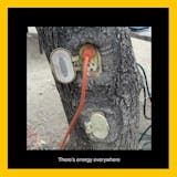 The Dark Forest Collective