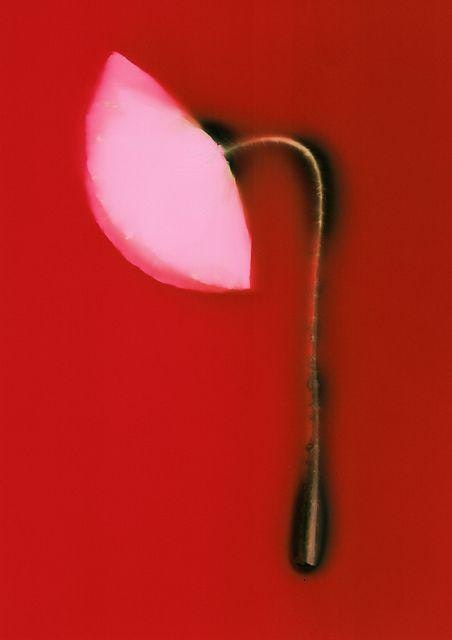 release image